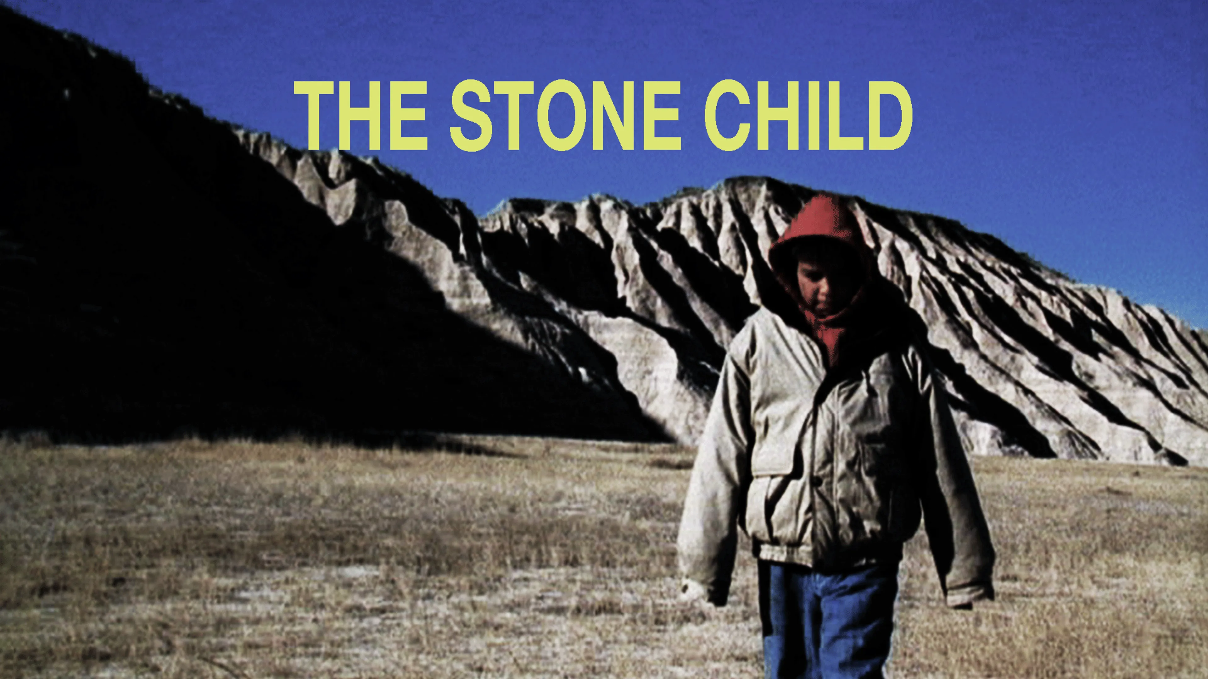 The Stone Child poster